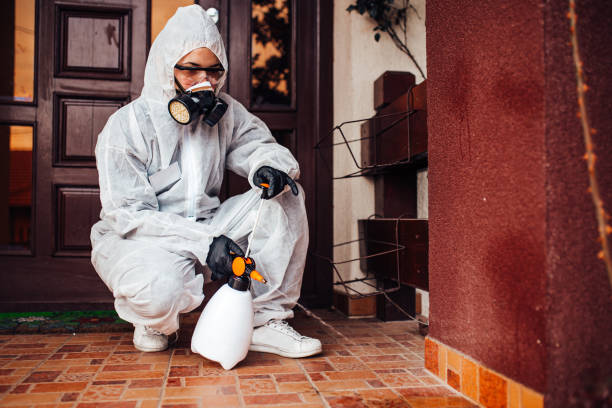 Reliable Cockroach Control contractor in Doña Ana, NM by Nex Pest Control