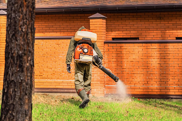 Trusted Emergency Pest Control service in Doña Ana, NM - Nex Pest Control